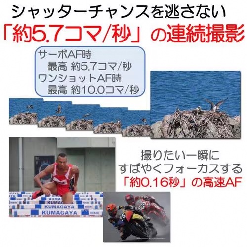 Canon コンパクトデジタルカメラ PowerShot SX70 HS 光学65倍ズーム/EVF内蔵/Wi-FI対応 PSSX70HS