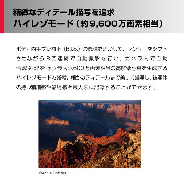 Panasonic LUMIX Sシリーズ S5II フルサイズミラーレス一眼カメラ/ダブルレンズキットDC-S5M2W