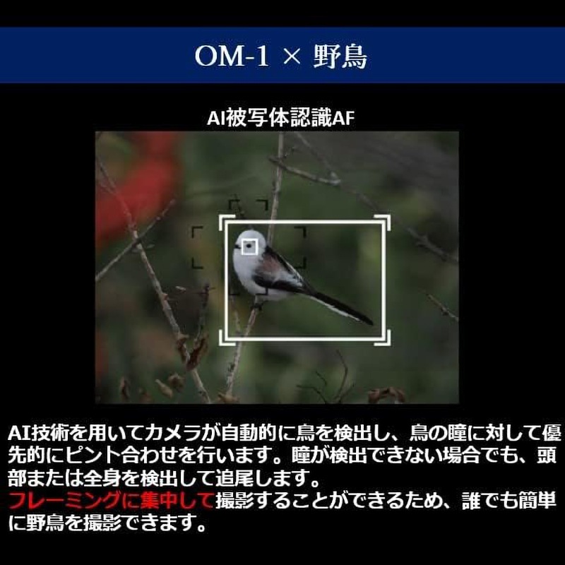 OM SYSTEM（オーエムシステム） OM-1 ボディ
