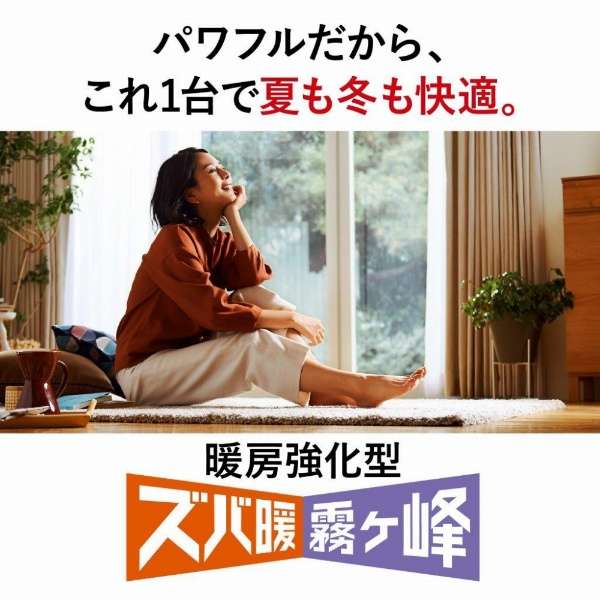 三菱電機 上位モデル 14畳用 エアコン MSZ-XD4022S-W 2021年製 MITSUBISHI 霧ヶ峰 XD MSZ-XD4022S-W 三菱電機 エアコン 14畳 200V XD
