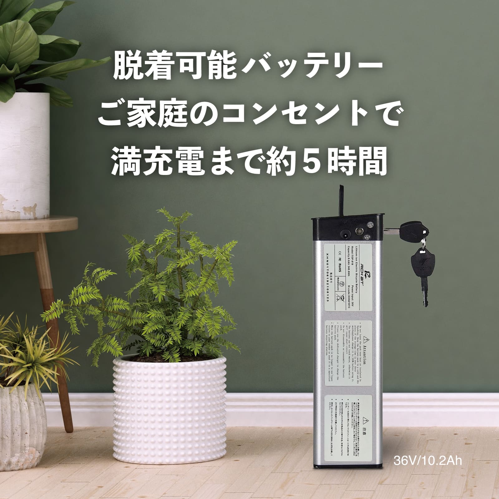 電動バイク ペダル付き RICH BIT TOP619 原付 免許で 公道走行可 電動自転車 自転車 マウンテンバイク の3WAY 折りたたみ できる おしゃれ フル電動 ナンバー 取得可能 20インチ FAT タイヤ で 通勤 通学 にも おすすめ