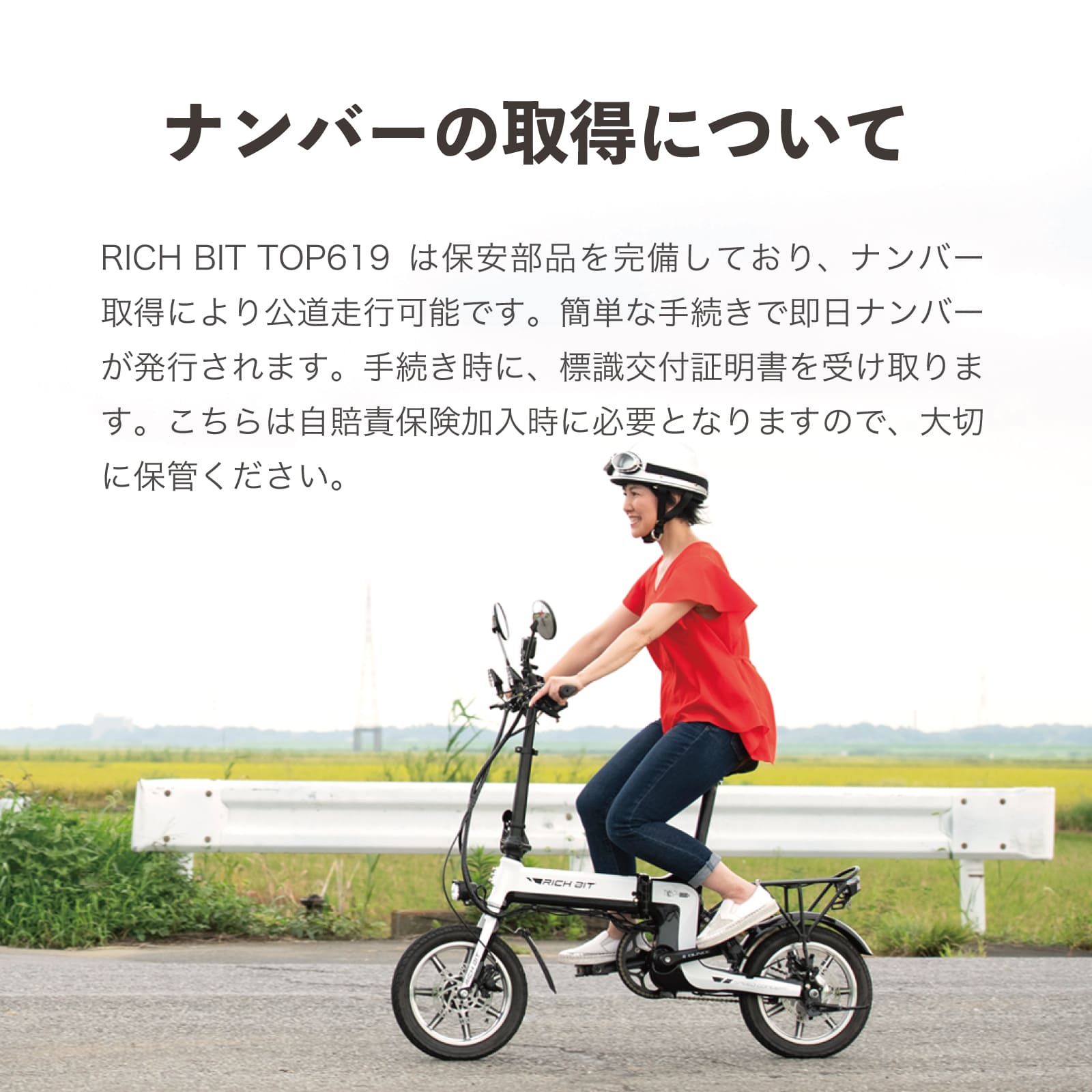 電動バイク ペダル付き RICH BIT TOP619 原付 免許で 公道走行可 電動自転車 自転車 マウンテンバイク の3WAY 折りたたみ できる おしゃれ フル電動 ナンバー 取得可能 20インチ FAT タイヤ で 通勤 通学 にも おすすめ