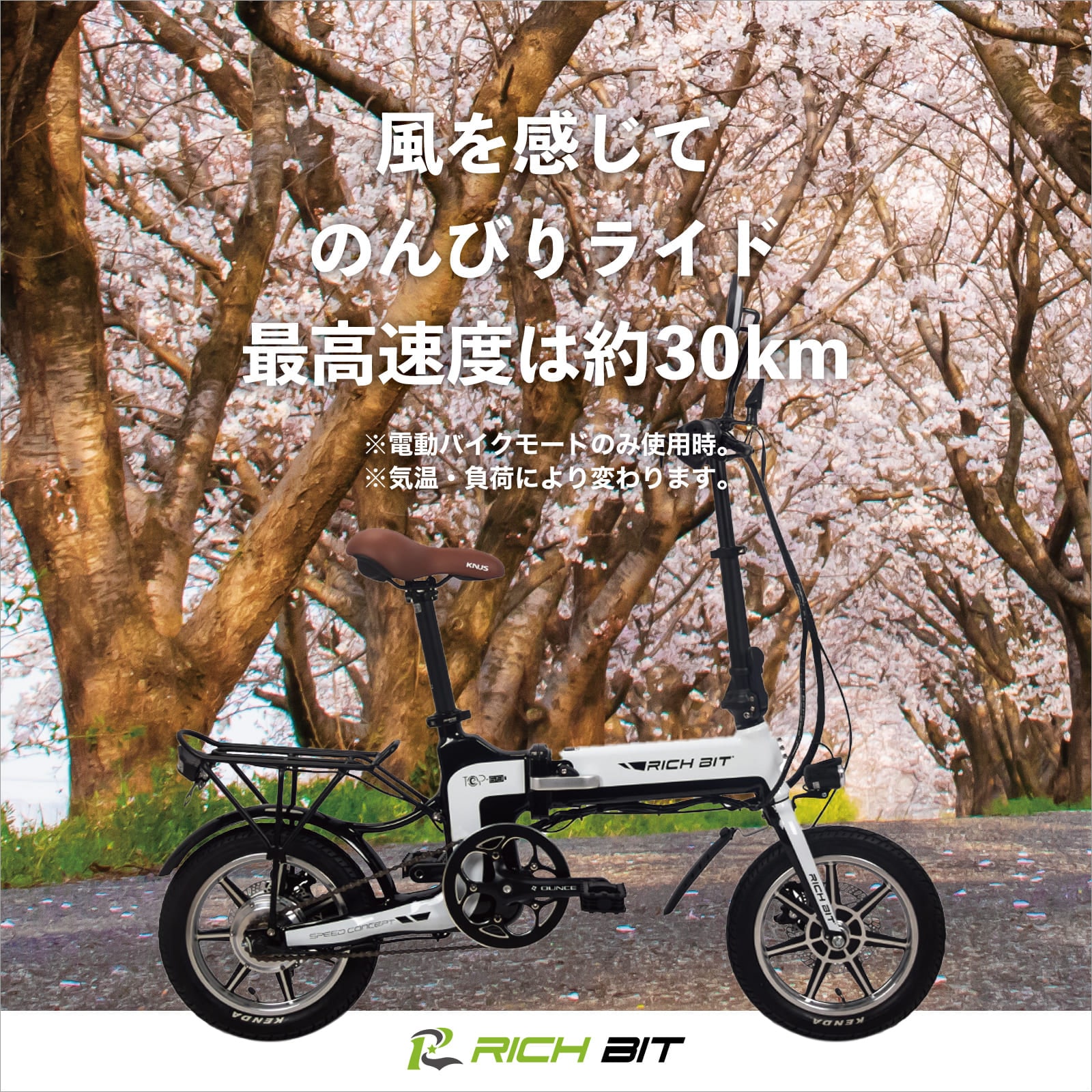 電動バイク ペダル付き RICH BIT TOP619 原付 免許で 公道走行可 電動自転車 自転車 マウンテンバイク の3WAY 折りたたみ できる おしゃれ フル電動 ナンバー 取得可能 20インチ FAT タイヤ で 通勤 通学 にも おすすめ