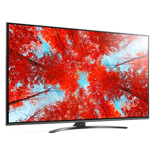 LG 65V型 4Kテレビ webOS AI ThinQ 【公式通販】