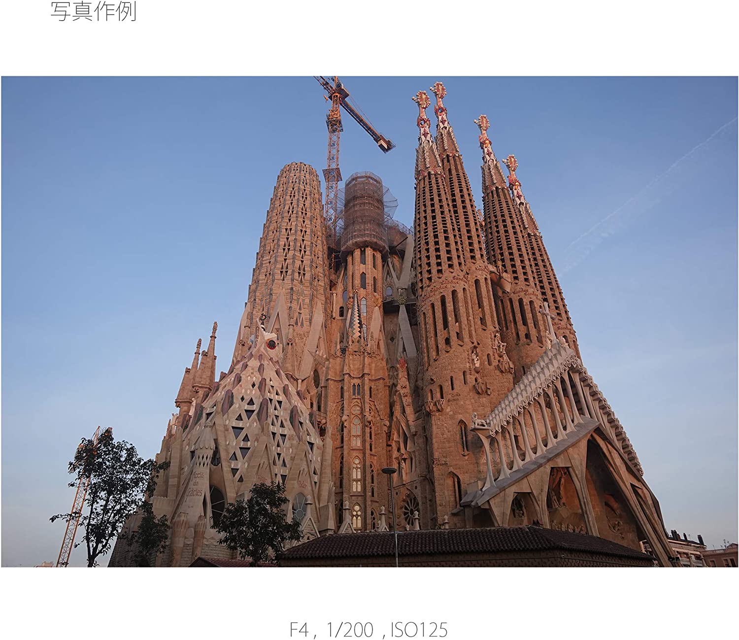 SONY  デジタルスチルカメラ Cyber-Shot RX DSC-RX0M2