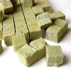 SALE10%OFFۿ̺ѥå֥å4cmѡ10ĥå