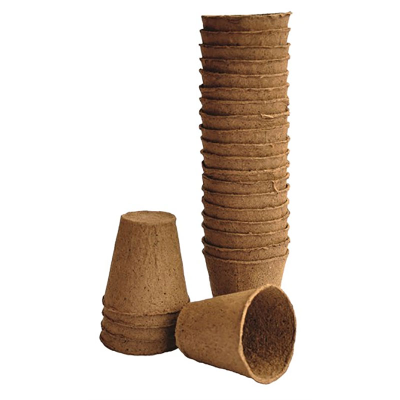 ���Τޤ޿�������ե����С��ݥåȡ��ݷ���6cm��24�ĥ��åȡ���ʬ������ȭ��