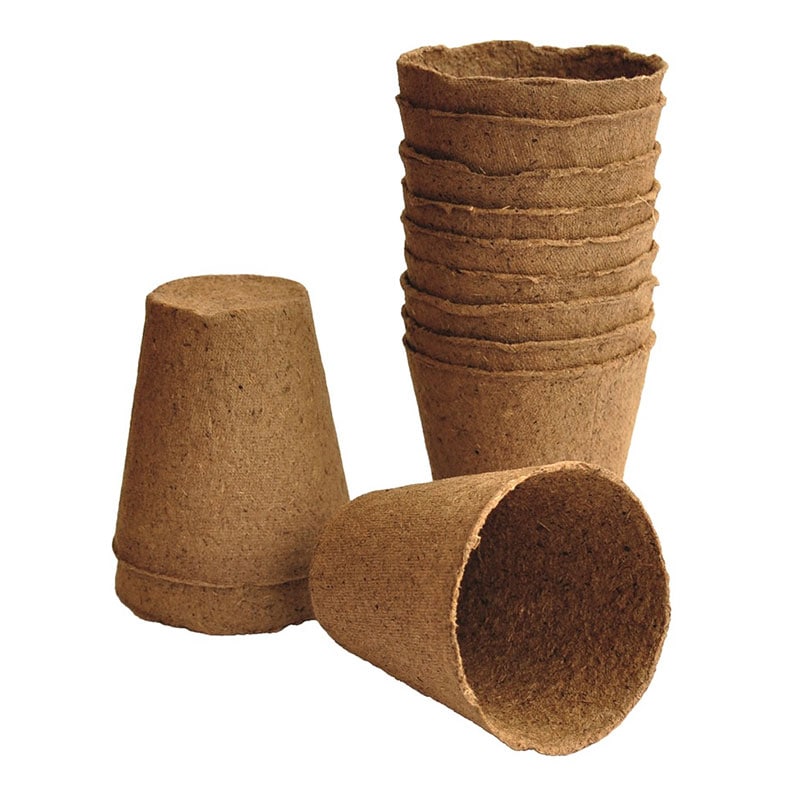 ���Τޤ޿�������ե����С��ݥåȡ��ݷ���8cm��12�ĥ��åȡ���ʬ������ȭ