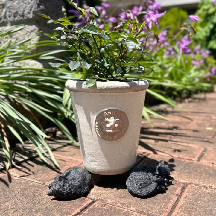 ȭ���֥�����̲��ͤ����ݥåȥե����ȡ�