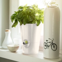 SALE10%OFFۼưϡ֥ݥåȡ極ۥ磻