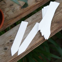 SALE10%OFF۱ѥץȥ٥롡12cm10硡ۥ磻