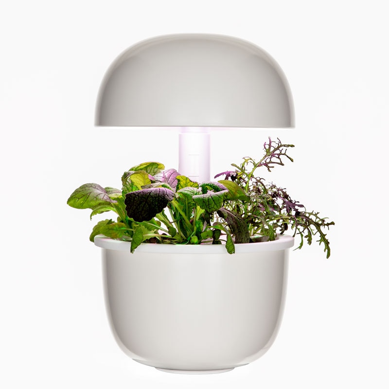 80％OFF【終売品】自動水耕栽培器 プラントゥイ3e ホワイト