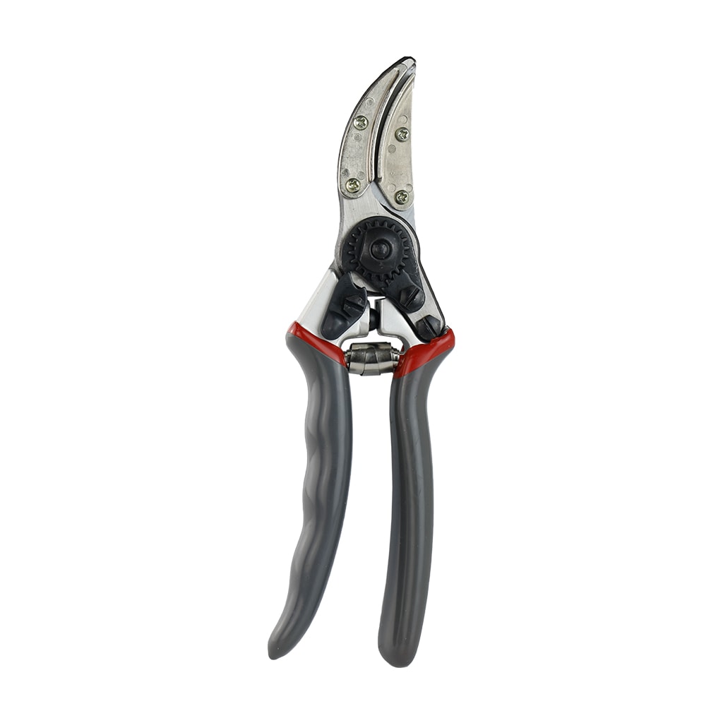 K&S バラ用剪定ばさみ 20mm | Rose 'Cut & Hold' Secateurs | Kent
