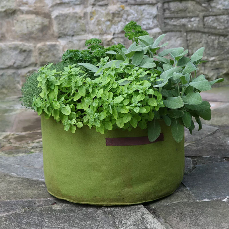たためる布製プランター ハーブ・花 Vigoroot Herb Planter Haxnicks England Brand