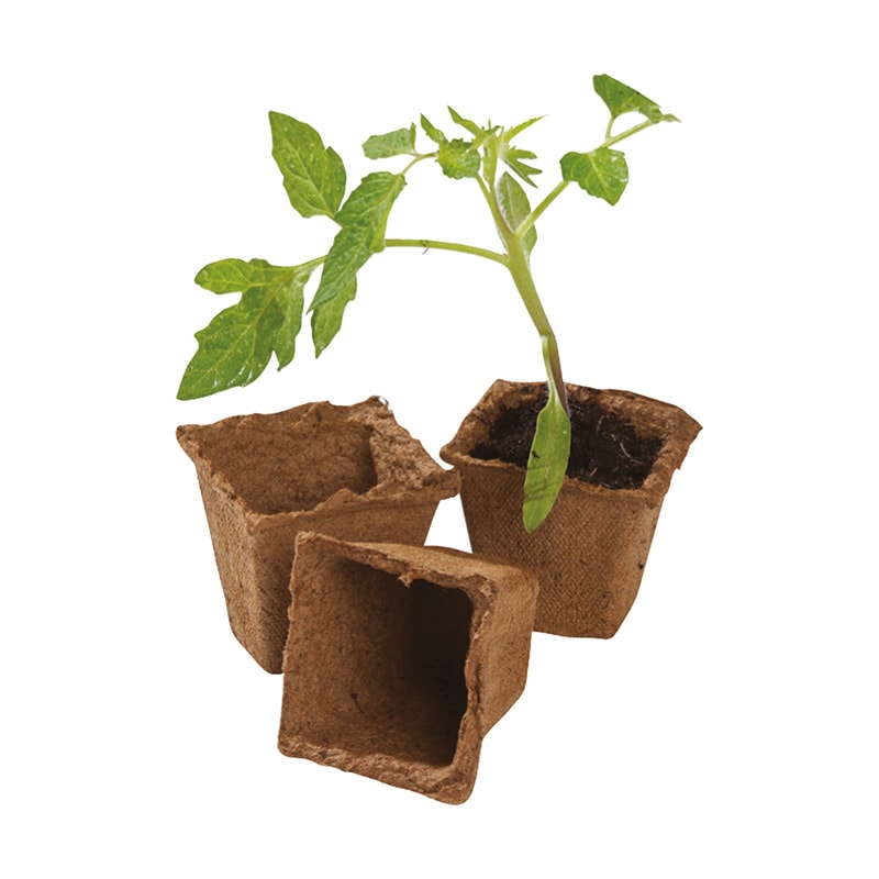 そのまま植えられるファイバーポット 四角 6cm 20個セット 生分解性苗
