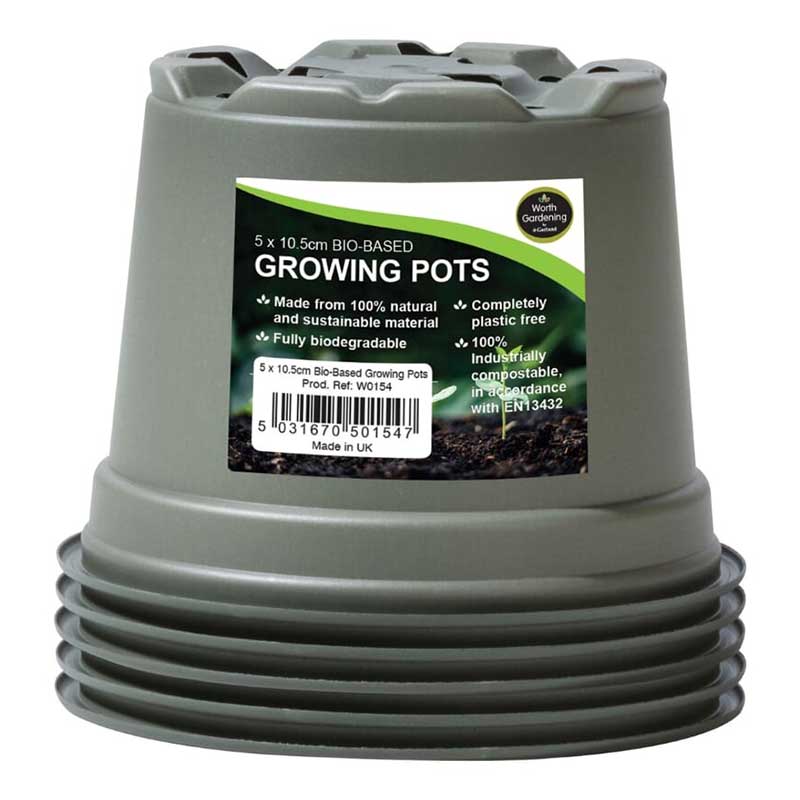 え*ー様 2025実生苗セットo 4センチポット 61epCNUF-FL._AC_UF350,