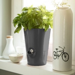 SALE10%OFFۼưϡ֥ݥåȡ極 ˥å