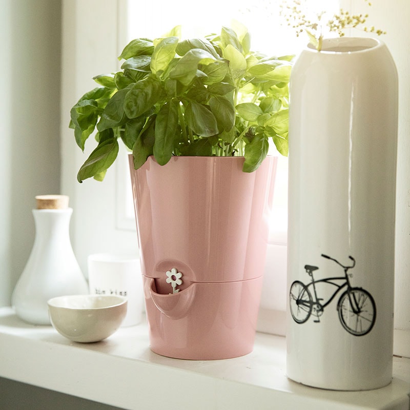 自動給水ハーブポット 4号サイズ セピアローズ | Herb Pots Sepia