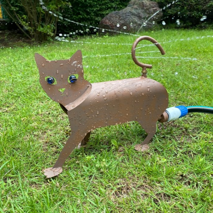 50��OFF�ڥ����ȥ�åȡۥ��ץ�󥯥顼��ǭ