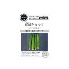 SALE10%OFFͭҡХ奦ꡡ񻺡˥åɡڤμ
