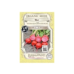 SALE10%OFFͭҡӡġӡȡ䡡˥åɡڤμ