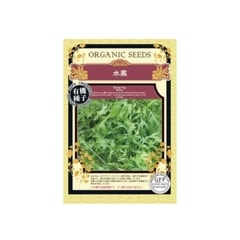 SALE10%OFFͭҡڡ˥åɡڤμ