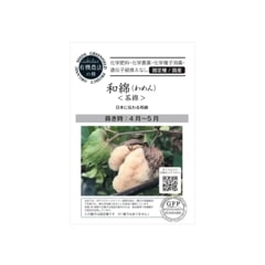 SALE10%OFFͭҡʡʤʡ񻺡˥åɡ֤μ