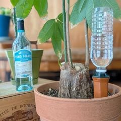 SALE10%OFFۥϥɥ磻&ڥåȥܥȥ륢ץ4ĥåȡưʪ