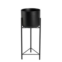 Plumaտȭ17cm-HighȭС5.5