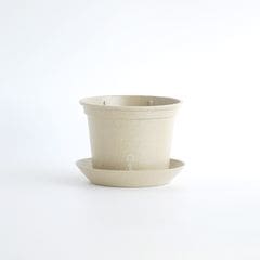 gokottaݥåȡȭ13.5åȡɥۥ磻ȡʬ