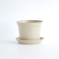 gokottaݥåȡȭ16.5åȡɥۥ磻ȡʬ