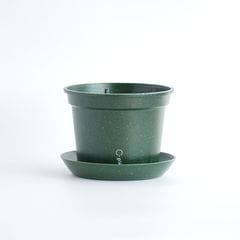 gokottaݥåȡȭ16.5åȡե쥹ȥ꡼ʬ