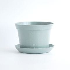 gokottaݥåȡȭ20åȡȡ֥롼ʬ