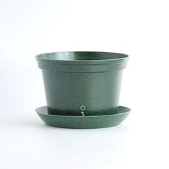 gokottaݥåȡȭ20åȡե쥹ȥ꡼ʬ