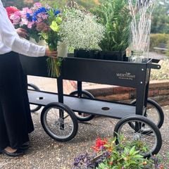 �緿��ư�����ݥץ�󥿡� 6�� �졼������������ӥ�