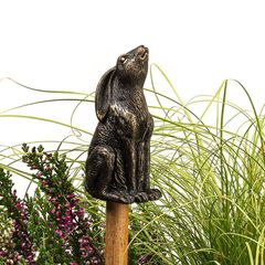 Cane Companions, Hare (������)