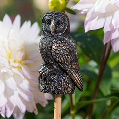 Cane Companions, Owl (�ե�����)