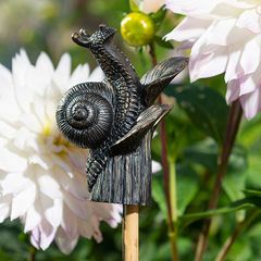 Cane Companions, Snail (�����ĥ��)