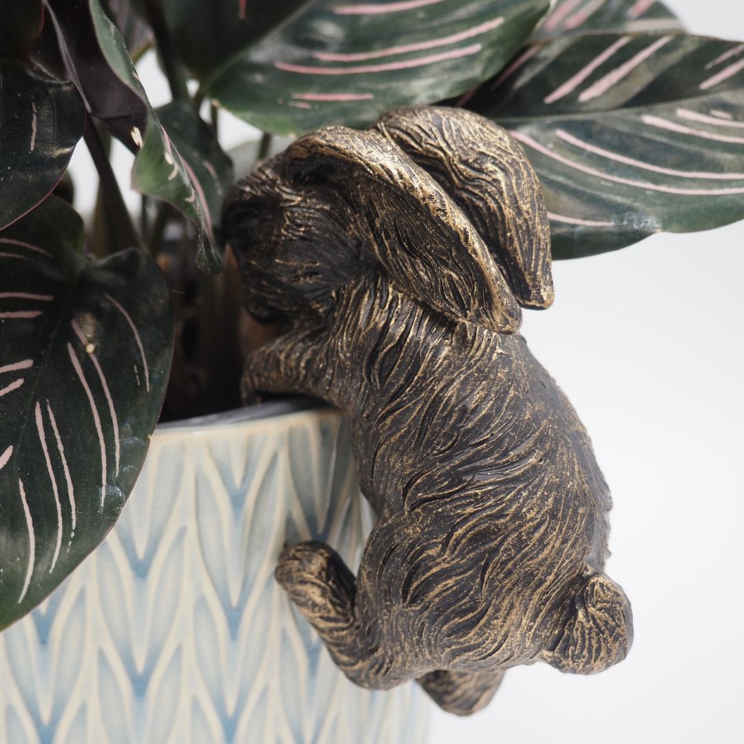 ȭ���֥���������������ӥåȡ������ǥ󥢥������꡼