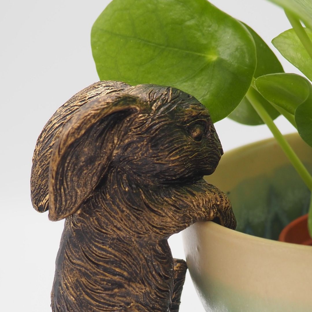 ȭ���֥���������������ӥåȡ������ǥ󥢥������꡼