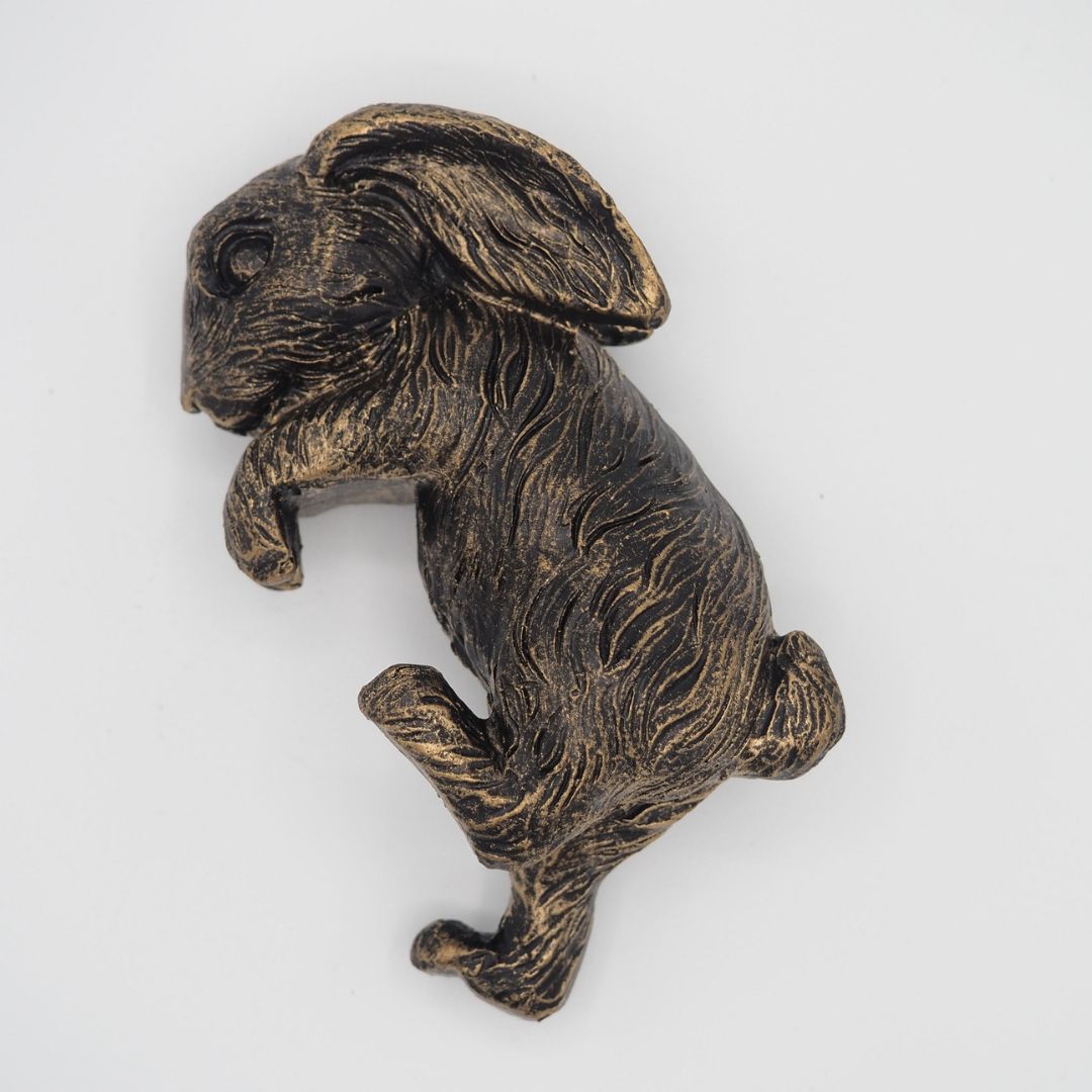 ȭ���֥���������������ӥåȡ������ǥ󥢥������꡼