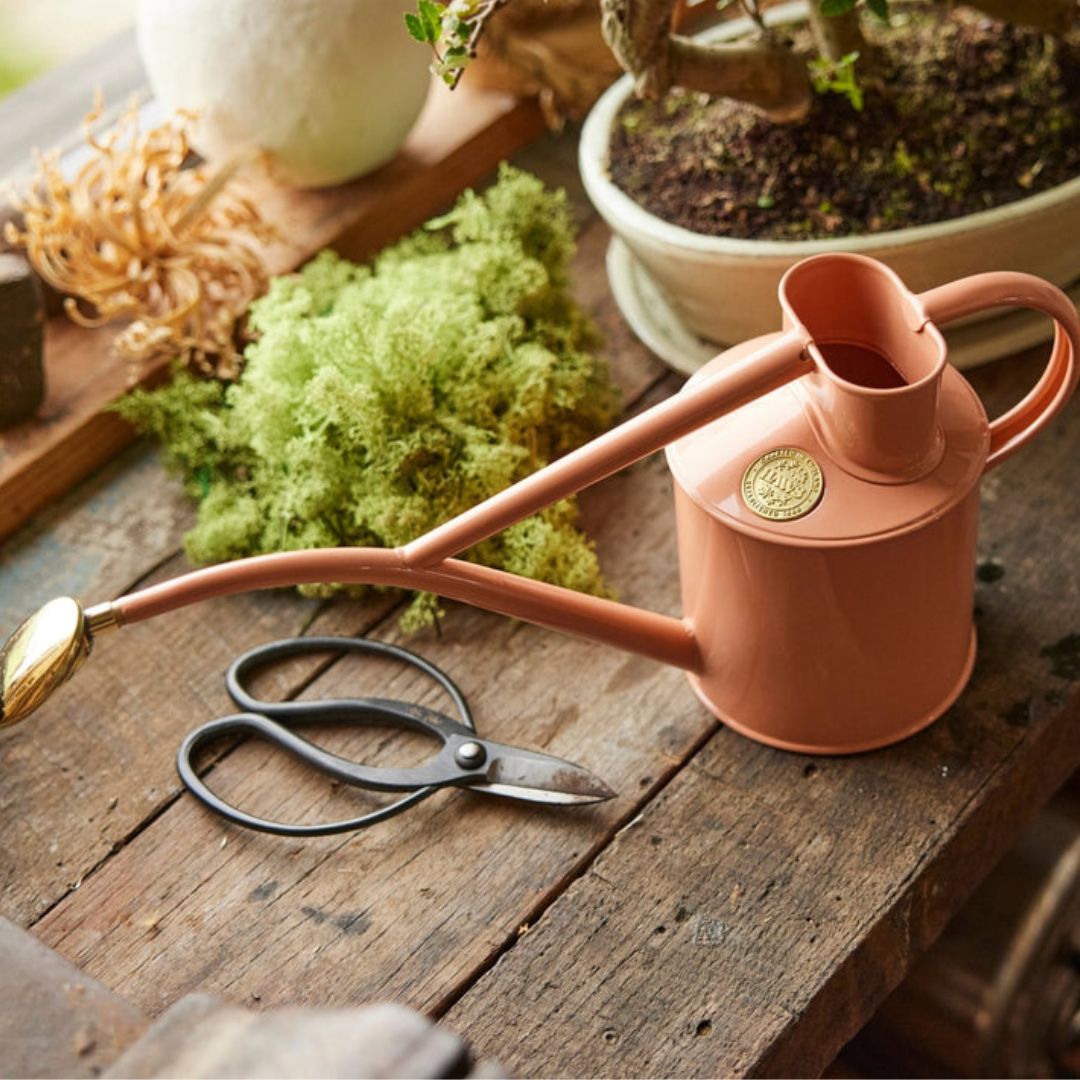 HAWS°礦1Lԥ󥯥쥤