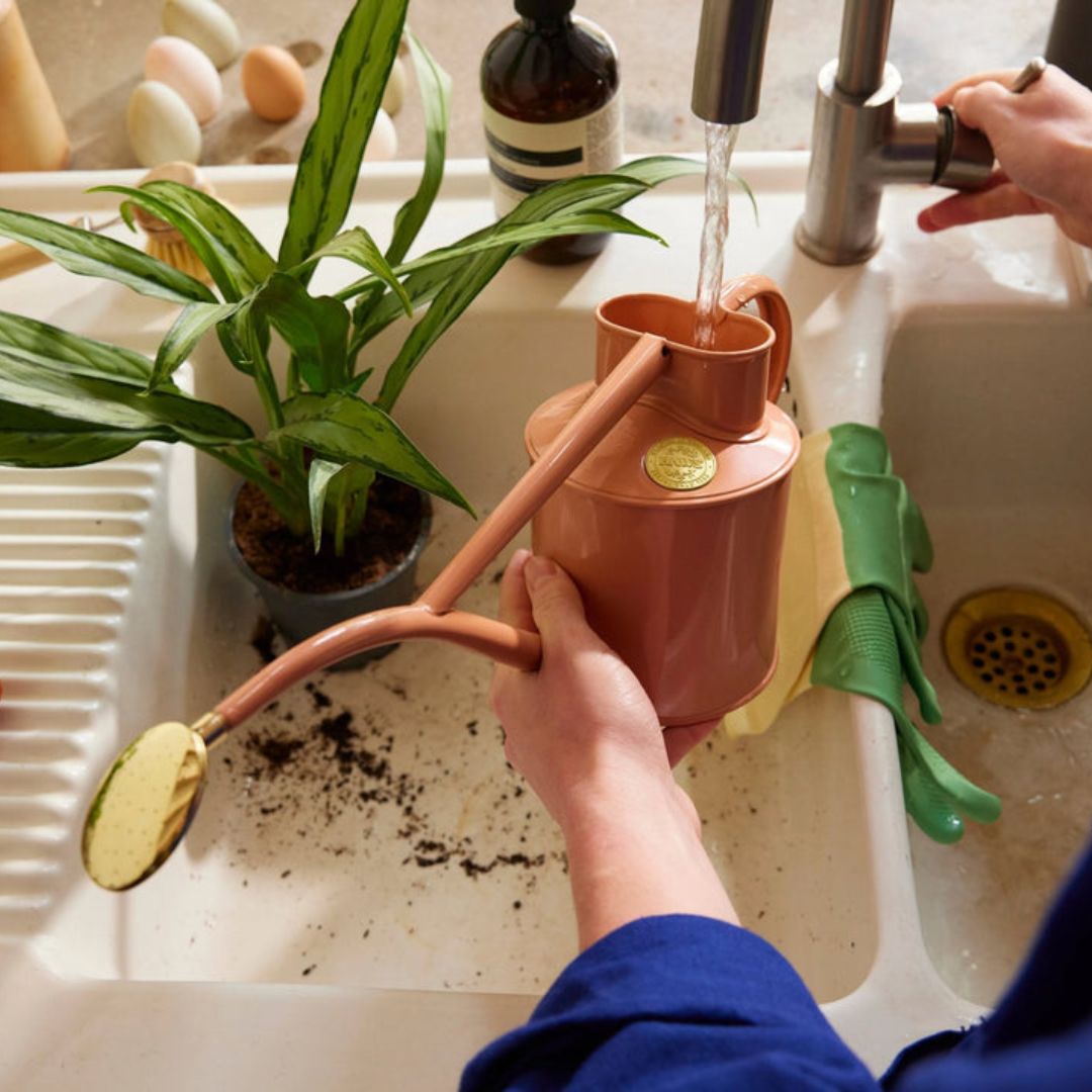 HAWS°礦1Lԥ󥯥쥤