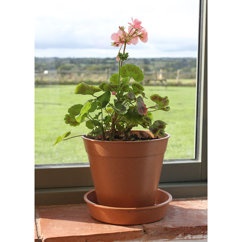 ڿʡȭ20cmХ֡ݥåȡƥ饳å