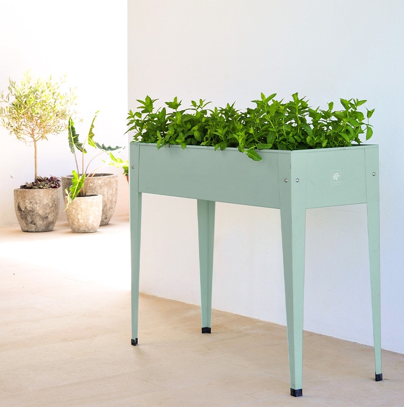 植物 観葉植物 ガーデニング プランターラック プランタースタンド 緑 スタンディングプランター 栽培台 ラック オプンティアグリーン