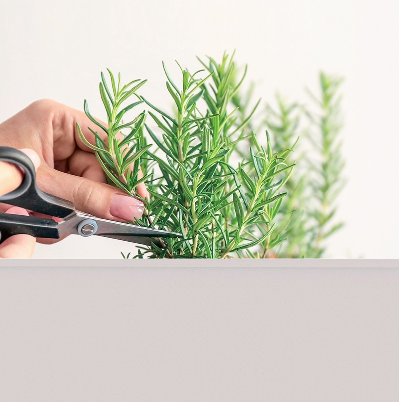 ưݥץ󥿡ȥ꡼若󡡥ࡼۥ磻