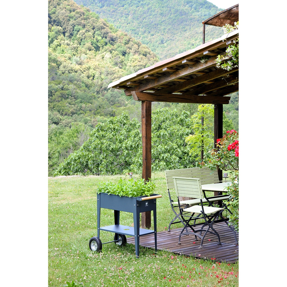 ưݥץ󥿡ȥ꡼若󡡥ࡼۥ磻