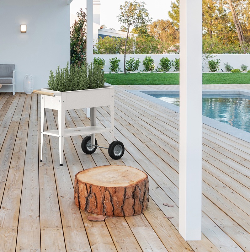 ưݥץ󥿡ȥ꡼若󡡥ࡼۥ磻