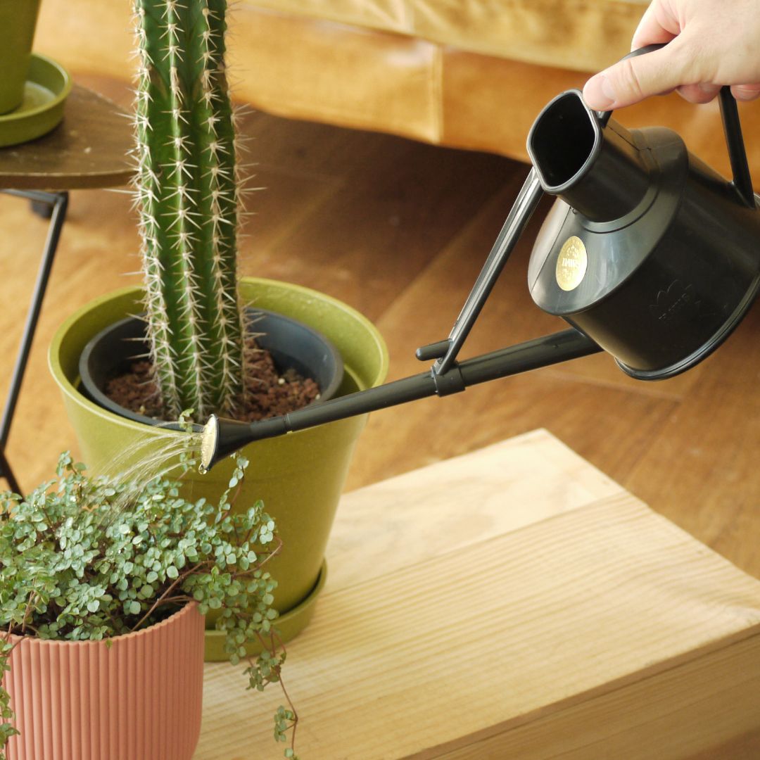 HAWSꥵץ饹å  礦0.7Lѥȡ֥å