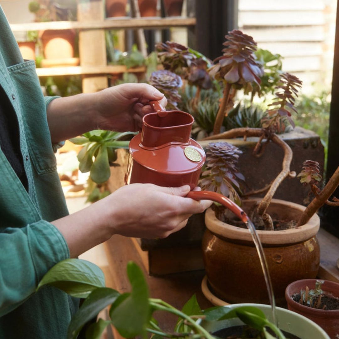 HAWS庹0.7Lƥ饳å󥸡ѥ